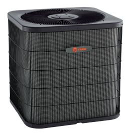 XB300